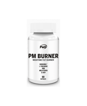 PM BURNER